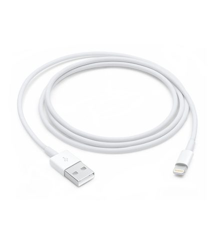Apple Lightning To USB Cable 1m White in UAE